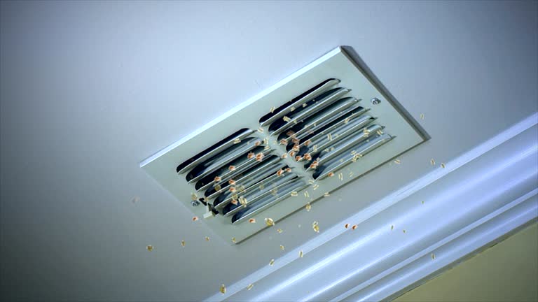 Best Duct Cleaning for Homes  in Matteson, IL
