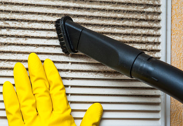 Best Professional Duct Cleaning Services  in Matteson, IL